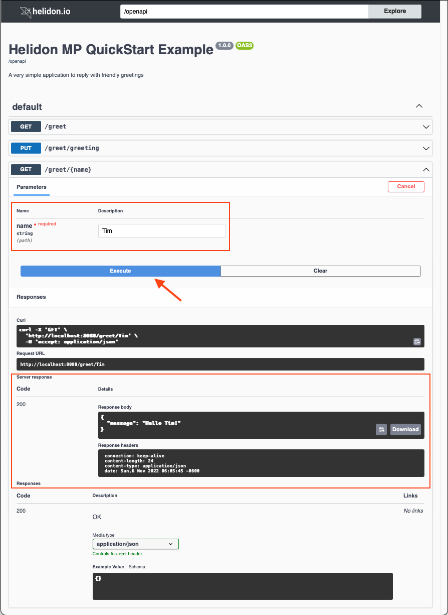 openapi ui screen capture greeting mp expanded